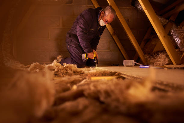 Best Geographic-Specific Insulation Services in Panama City Beach, FL